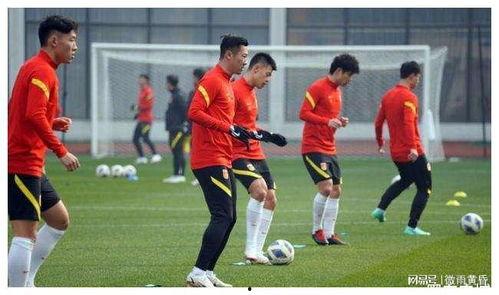 足球爆料计划最新消息,独家揭秘赛事内幕与精彩瞬间 第2张 足球爆料计划最新消息,独家揭秘赛事内幕与精彩瞬间 第2张